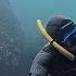 Epic Freediving Off Hornby Island BC Come On DFO Pacificnorthwest Vancouverisland