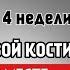 Полный протокол реабилитации Разработка ЛУЧЕЗАПЯСТНОГО СУСТАВА Перелом в типичном месте ЭТАП 3