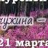 День амурской поэзии России всей жемчужина амурская земля