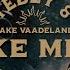 Tebey Jake Vaadeland Wake Me Up The Bluegrass Rendition Official Video