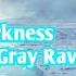 Narwal HALOWEAK Punishing Gray Raven Frozen Darkness