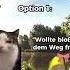 Wie Ich Mit Anderen Frauen Umgehen Soll Funnyshorts Funny Funnymemes Cat Deutschememe Shorts