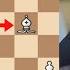 Magnus Carlsen I Have No Chances