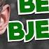 Best Of Bjergsen The Carry League Of Legends