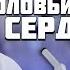 СОЛОВЬИНОЕ СЕРДЦЕ МольФильм В ролях ПУТИН ЛУКАШЕНКО СОЛОВЬЁВ и др ЖестЬДобройВоли пародия