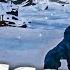 Челлендж Незваный гость The Long Dark