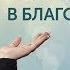Как начать новую жизнь и изменить себя