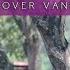 CELINE DION THE POWER OF LOVE COVER BY VANNY VABIOLA