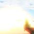 Roblox Car Crushers 2 Nuke