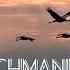 Vocalise S Rachmaninoff Op 34 No 14 Classicmusic Vocalise рахманинов
