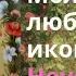 Молитва пред иконой Неувядаемый цвет о любви красоте замужестве счастье в семье женском здоровье