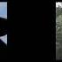 Shadow VS Shadow Android And Black Doom VS Psycho Kid Shotgun Side By Side