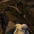 Fivemroleplay Roleplay Gta5roleplay Fivemfunnymoments Vennyrp Venny Vennyv
