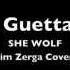 David Guetta She Wolf Ft Sia Jim Zerga Cover