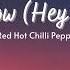 Vietsub Snow Hey Oh Red Hot Chilli Peppers Lyrics Video