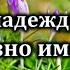 Гимны Надежды 65 Как дивно имя Иисус Караоке минус Христианские песни Гимны надежды