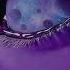 FREE Deep House Type Beat Honey 2023 Stutter House Type Beat EDM Pop Dance Club Instrumental