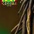 Bob Marley New Songs Greatest Hits Full Album Bob Marley Bob Marley Reggae Songs 2024