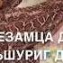Нана