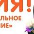 44 Котёнка Выиграйте приз от 44 котят в Магните