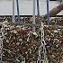 Love Locks Removed From Paris Bridge