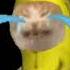 Banana Cat Crying Multilanguage