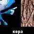 Фиксики на арабском часть 1