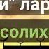 Салафийлар кимлар Абдуллоҳ домла Салафи солихин
