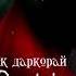 РЕПИ ДАРДОВАР 2024 ШИКАНЧАИ ГАРИБО Ralik Очачон Дуои нек даркорай точиконрэп Tojikonrap