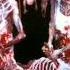 Cannibal Corpse Gutted