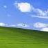 BonziKill On Windows XP