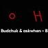 The Budchuk Askwhen Вона Lyric Video