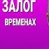 ВЕСЬ АНГЛИЙСКИЙ ЯЗЫК В ОДНОМ КУРСЕ АНГЛИЙСКИЙ ДЛЯ СРЕДНЕГО УРОВНЯ УРОКИ АНГЛИЙСКОГО ЯЗЫКА УРОК 165