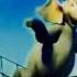 Horton Hears A Who 3D TV Spot 2008