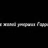 Великие слова которые мы запомним навсегда Не жалей умерших Гарри жалей живых