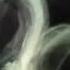 ATB Outtie White Tee Official Audio