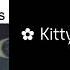 Kitty Phonk Soviss Sped Up Nightcore