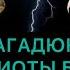 Угрозы Осамнову и Османова или кто более ПАТРИОТ утродагестан утродагестана