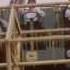 The Wurzels ORIGINAL PROMO FILM Combine Harvester No1 June 12th 1976