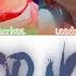 ONEUS TO BE OR NOT BE Colour Coded Lyrics Han Rom Eng