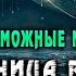 Удивительное путешествие во времени Миллиарды лет эволюции жизни