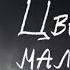 Mzlff цветочек маленький 1 час