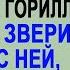 Туристка попала в лапы трёх горилл в джунглях Что они с ней сделали поразило даже аборигенов