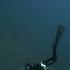 Spearfishing BIG Grouper 100 Feet Deep