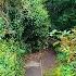 Overgrown Paths Are DANGEROUS Helping Tidy Up Bexley