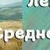 АУДИОКНИГА ПОПАДАНЦЫ ЛЕКАРЬ В СРЕДНЕВЕКОВЬЕ Часть 3