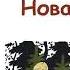 Л Воронкова Новая кукла Рассказы Воронковой Слушать