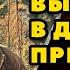 Аудиокнига ПОПАДАНЦЫ ВЫЖИТЬ В ДИКОЙ ПРИРОДЕ
