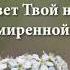 Не вечно буду я скитаться Братья Тамбовской Церкви