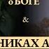 НЕВОЛИНА Лена о Хрониках Акаши искренности вселенском информационном поле Источнике и проводнике